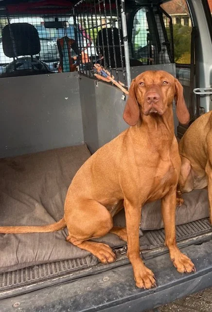 Eerste opdracht voor Naksu