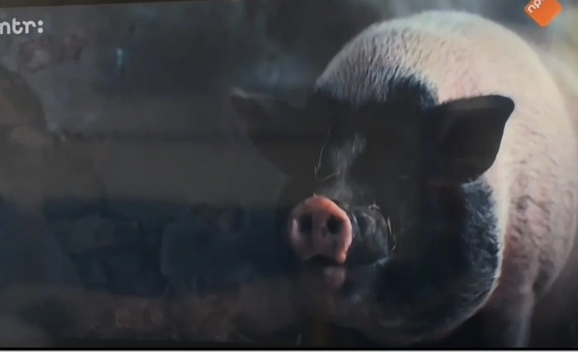 Babs in serie 'Het Verhaal van Nederland'