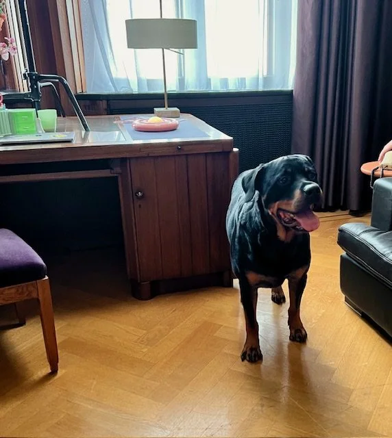 Rosco op televisie in "Yous en Yay in het wild"