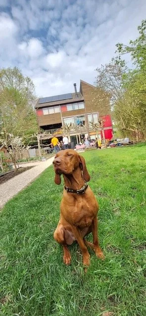 Naksu op locatie voor een commercial