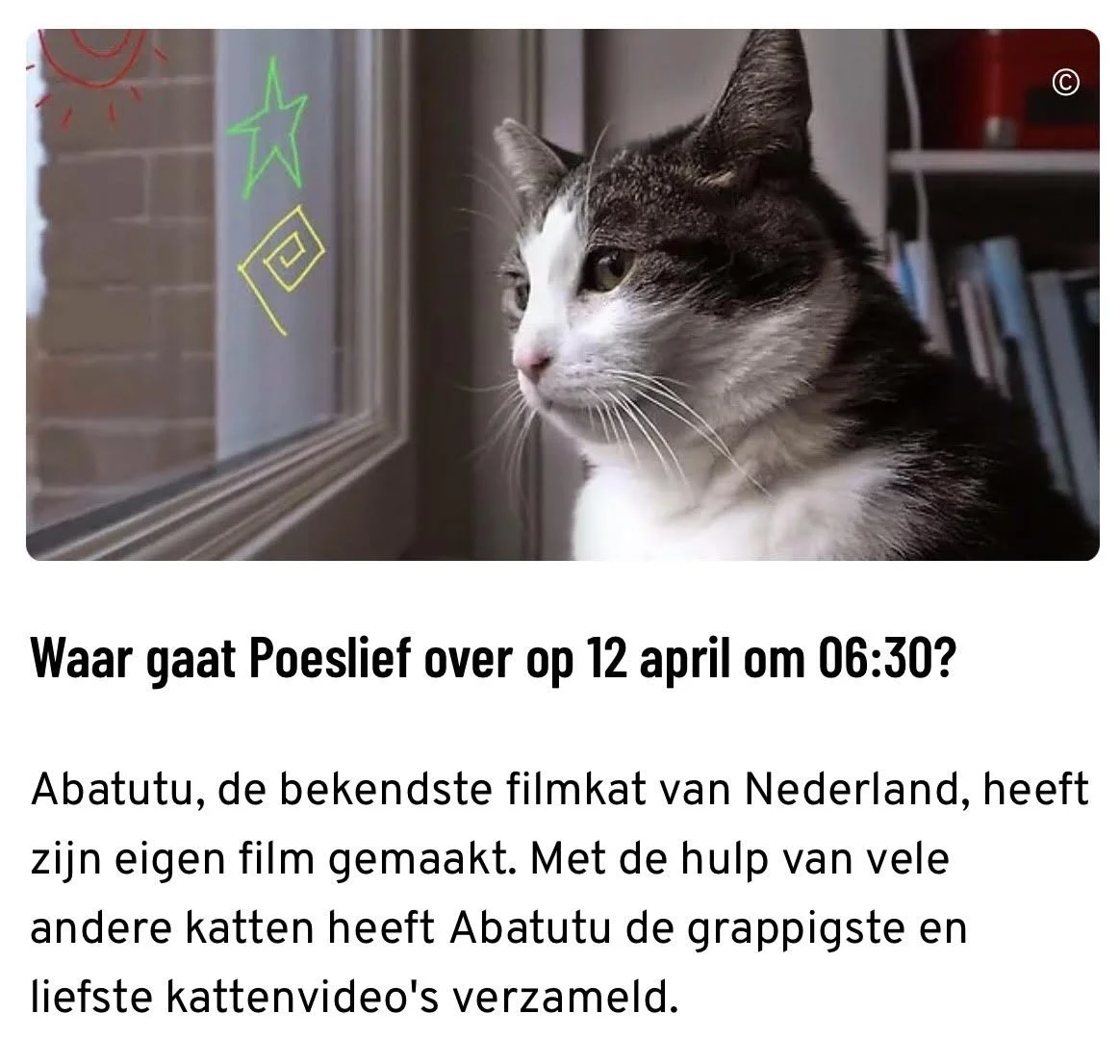 Abatutu in 'Poeslief' op 'FilmBox'
