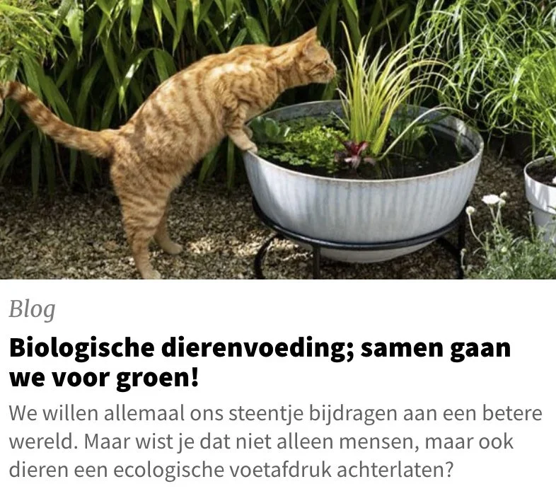 Maziwa op de website van 'Intratuin'