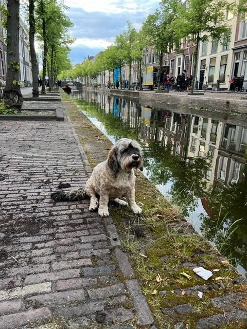 'Een Schitterend Gebrek' op NPO Start'