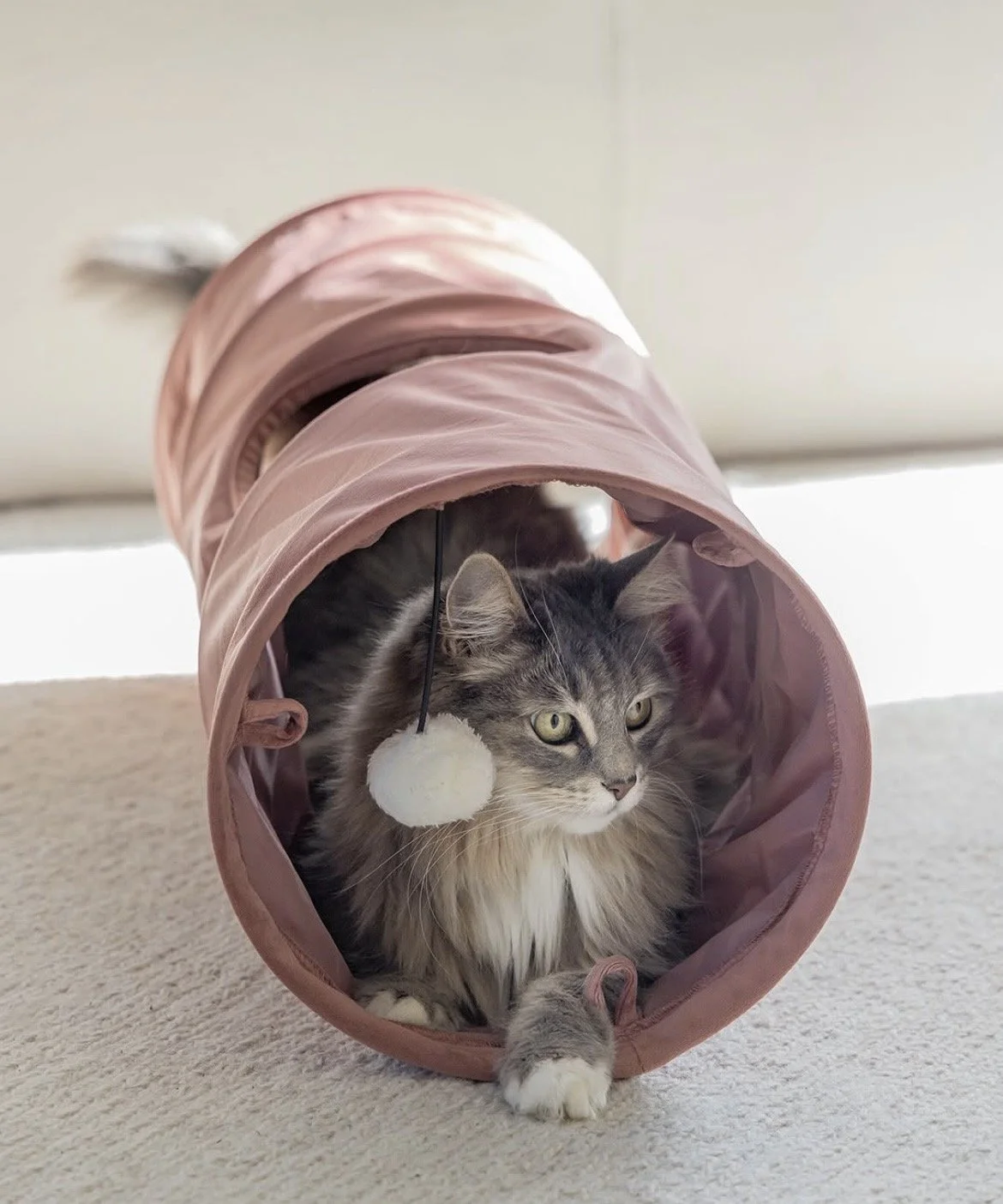 Truitje model voor 'Designed by Lotte'
