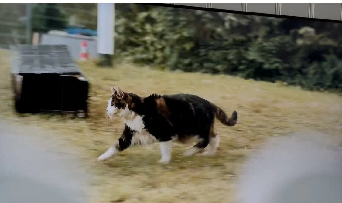 Abatutu in aflevering 1 : 'Kees Flodder'