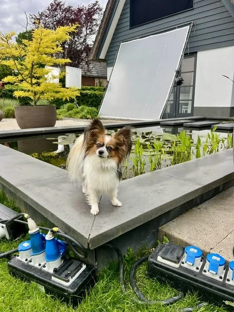 Elena weer op de filmset
