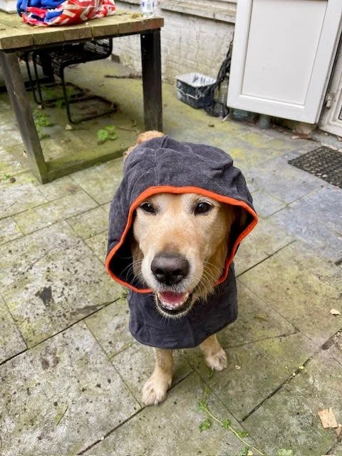 Olly model voor spotje