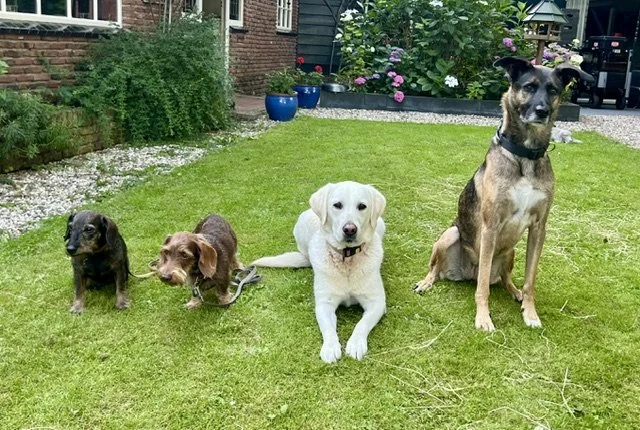 Lotje, Toon, Pip en Soula op locatie voor filmopnamen