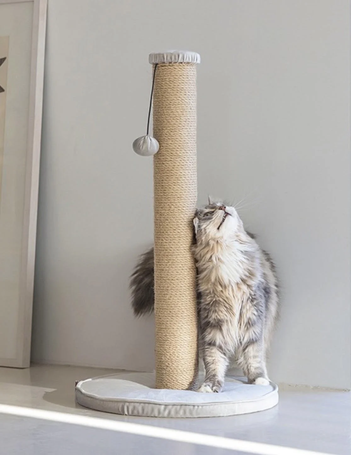 Truitje model voor 'Designed by Lotte'.
