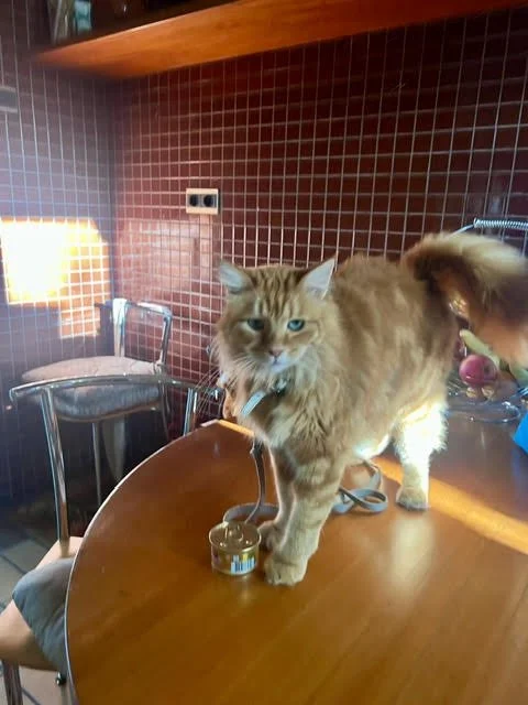 Chanjo op locatie voor een nieuwe film