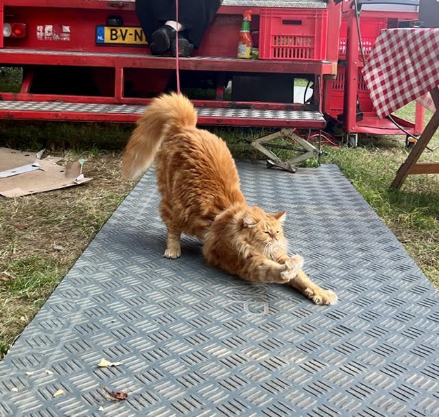 Ook in het weekend wordt er gefilmd