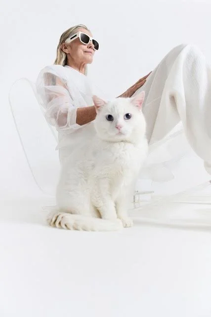 Witte katten voor '10Days'