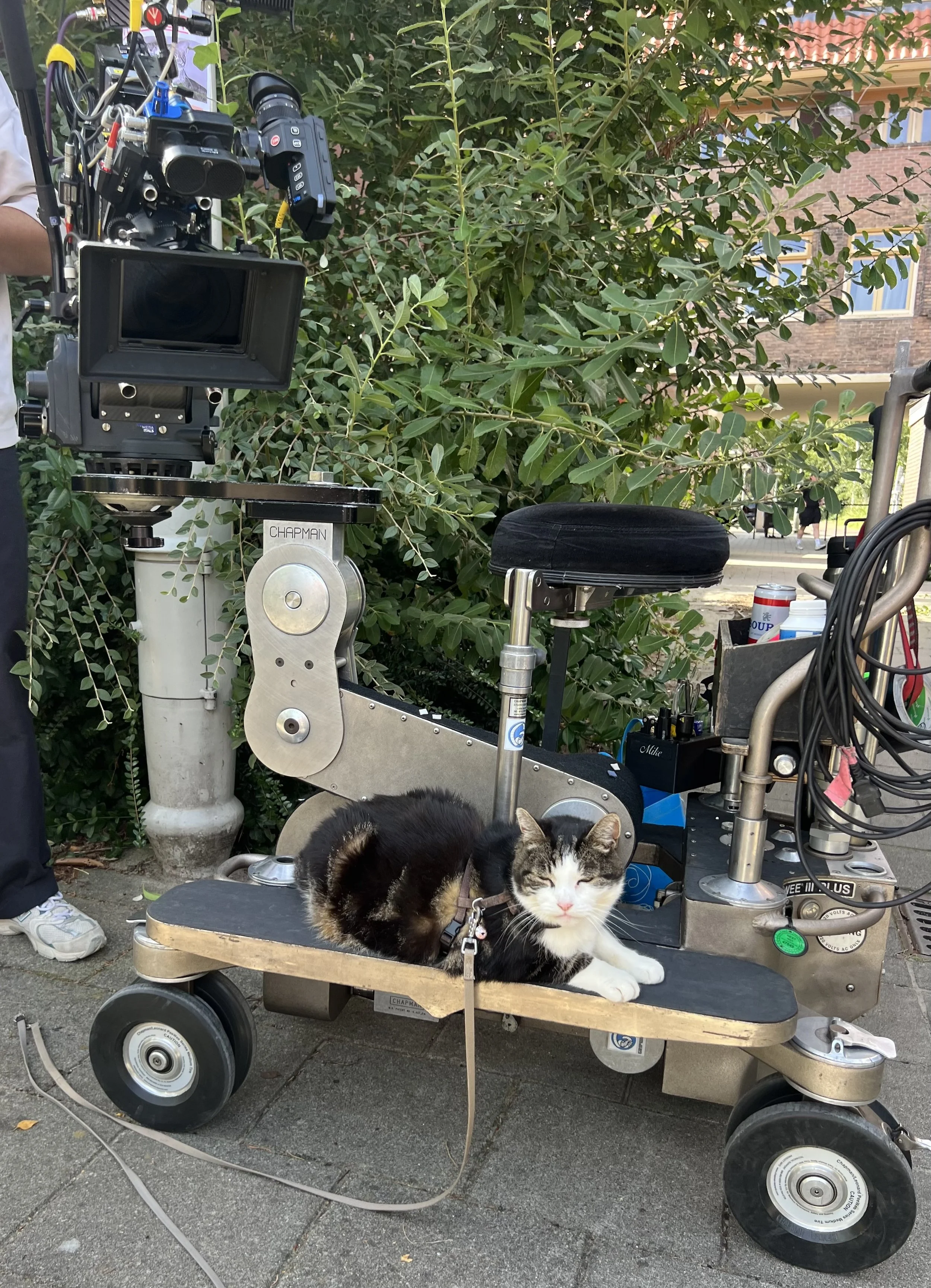 Abatutu op locatie voor commercial