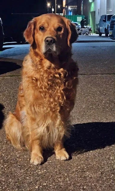 Sammy drie dagen voor de camera