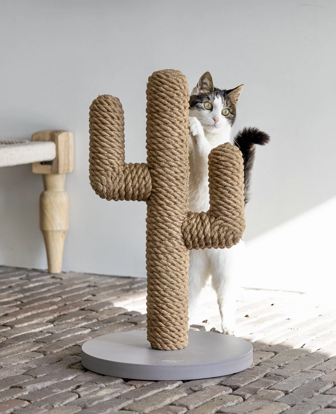 Chui model voor ‘Designed by Lotte’
