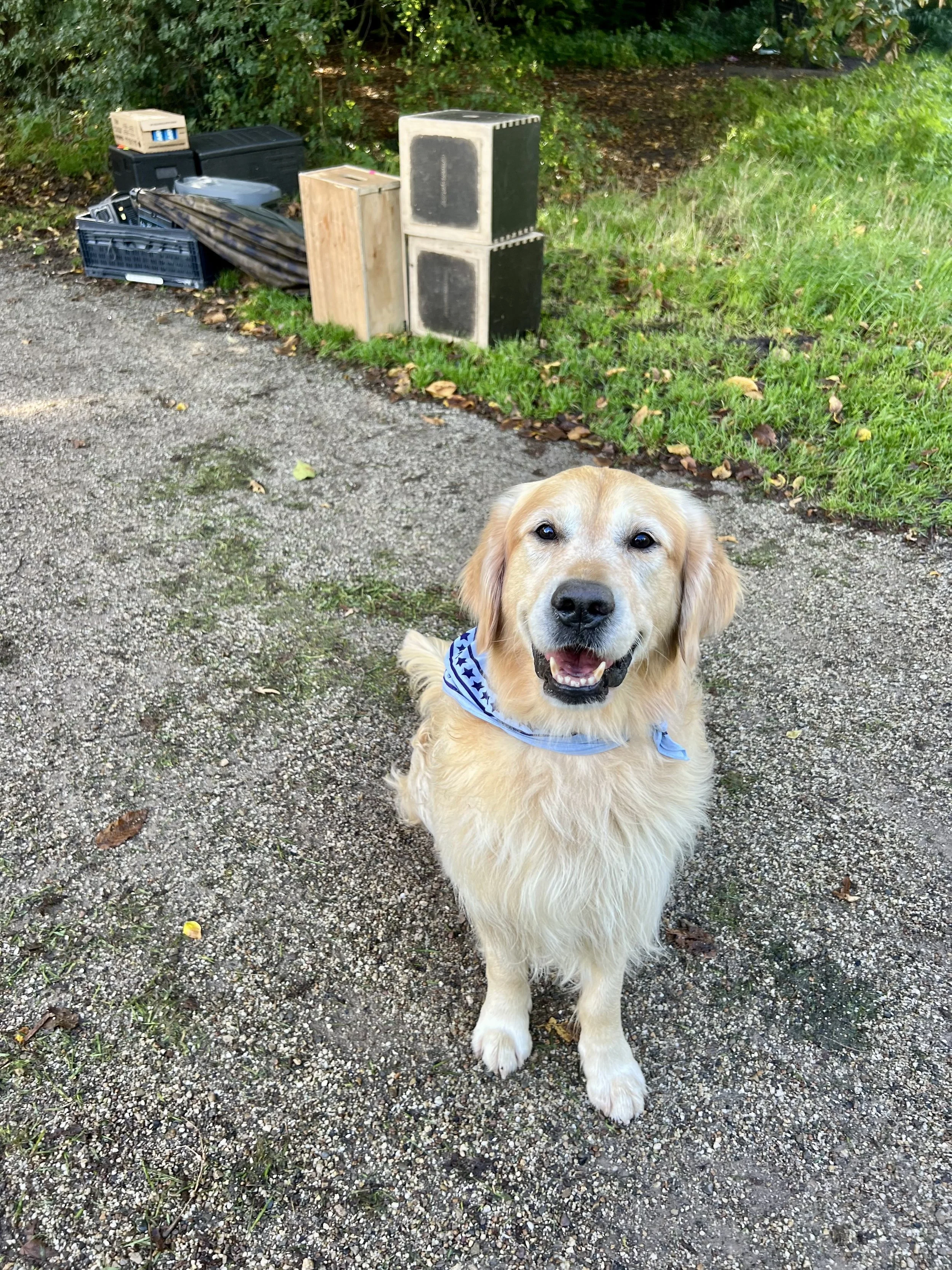 Olly in Amsterdam voor een spotje 