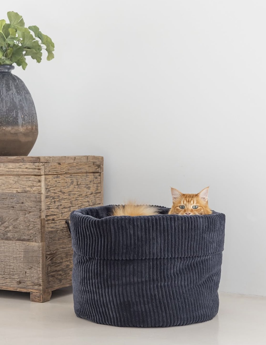 Chanjo model voor ‘Designed by Lotte’.