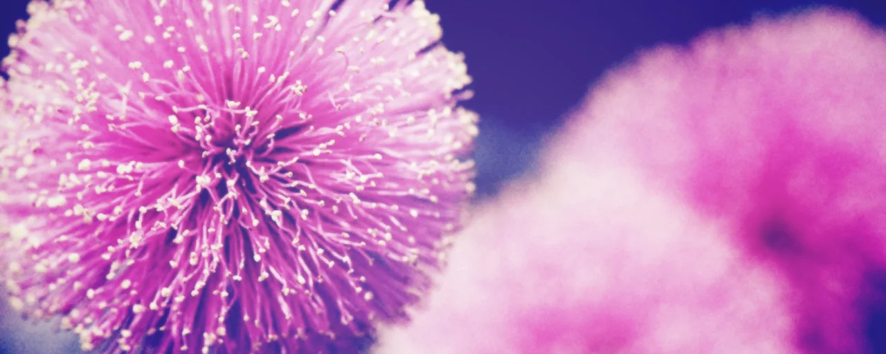 BANNER_005.jpg