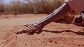 An Ancient Story Takes Flight