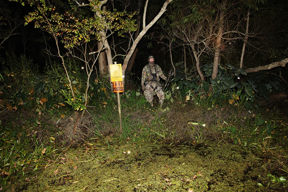 night hunter