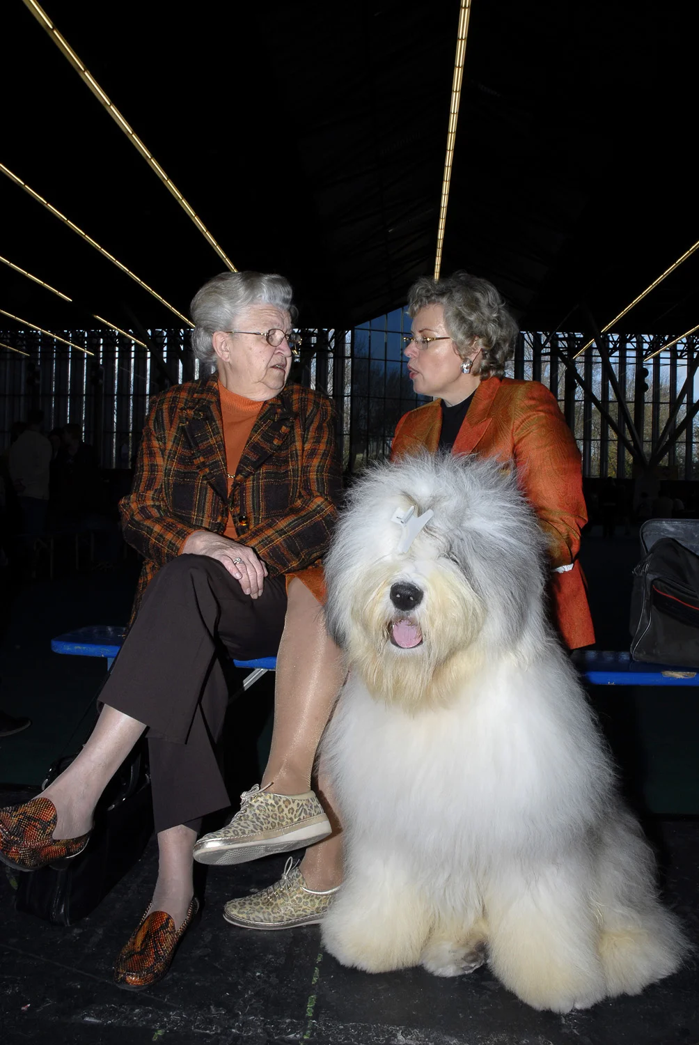 on_loving_animals_05.jpg