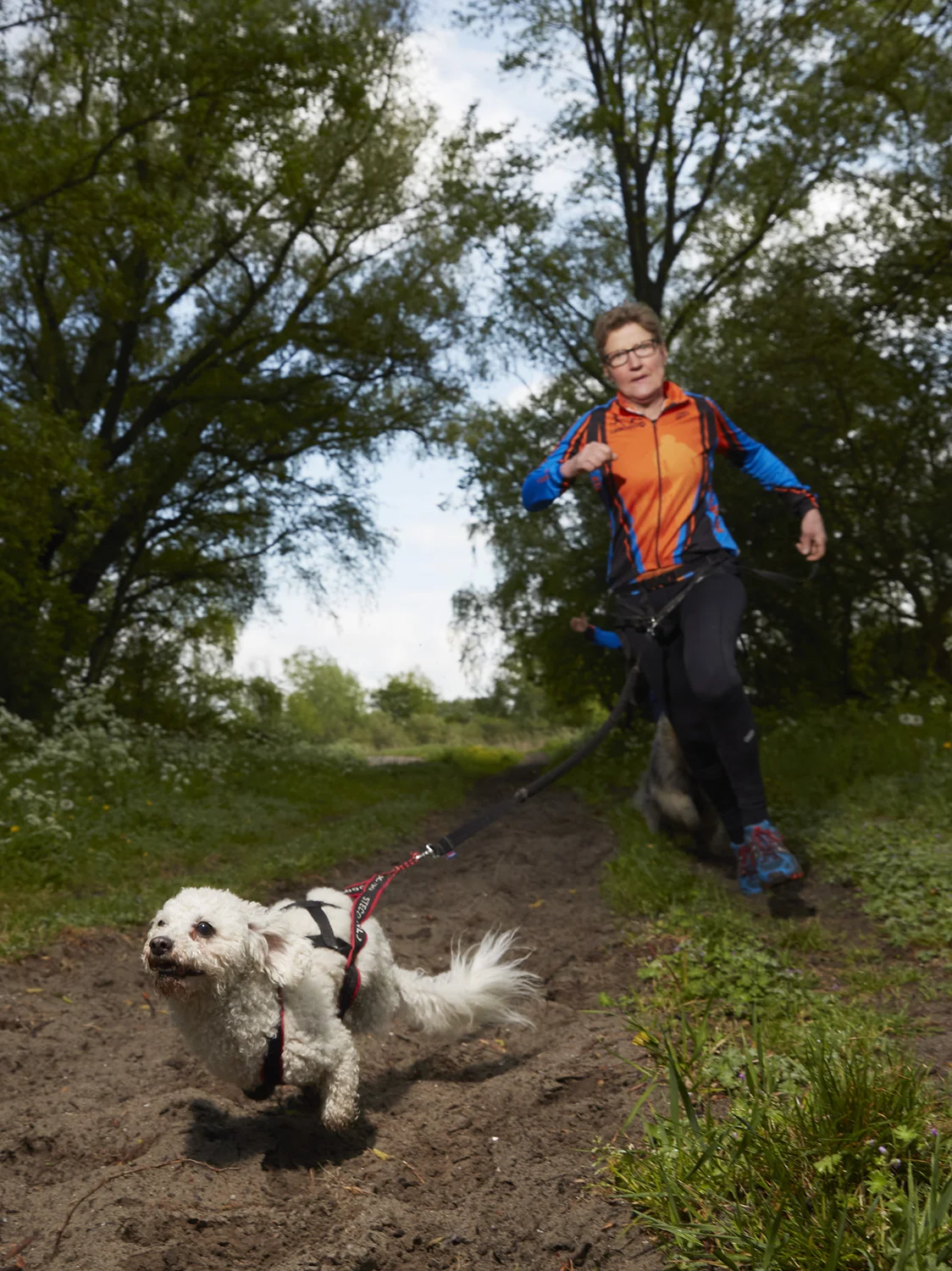 113_Canicross_9900_18_mei_2019.jpg