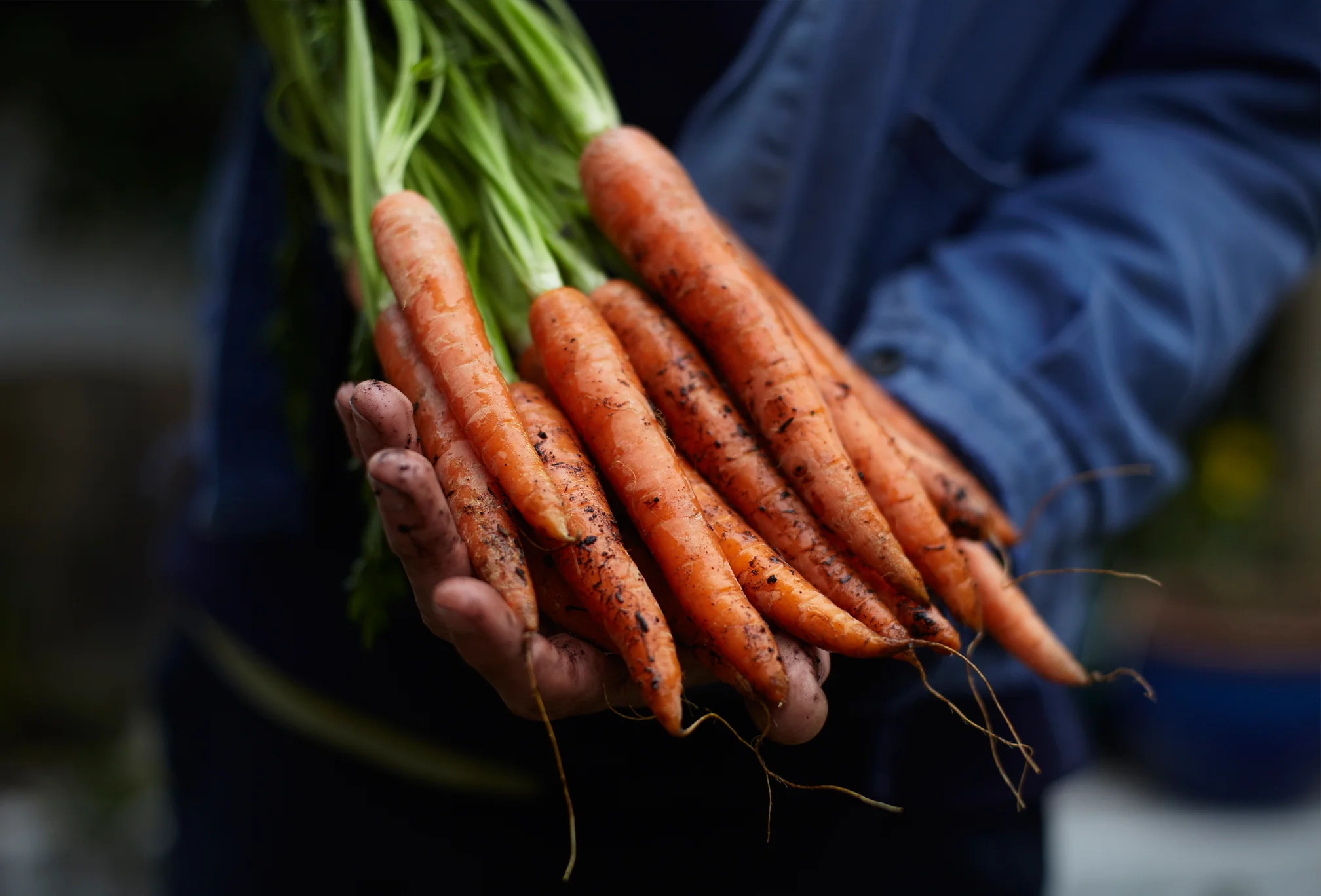 farmdrop_produce01.jpg