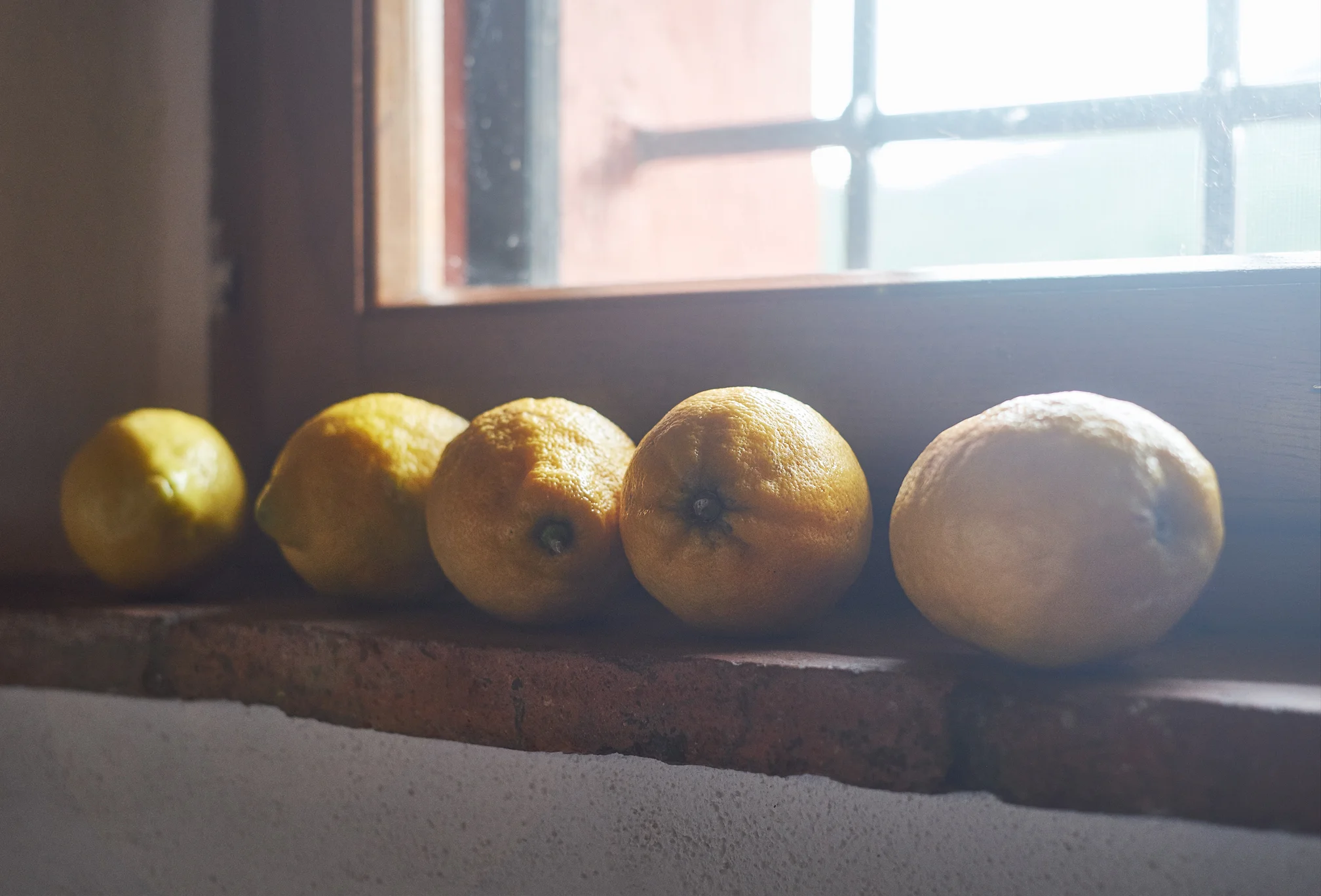 tuscan_lemons.jpg