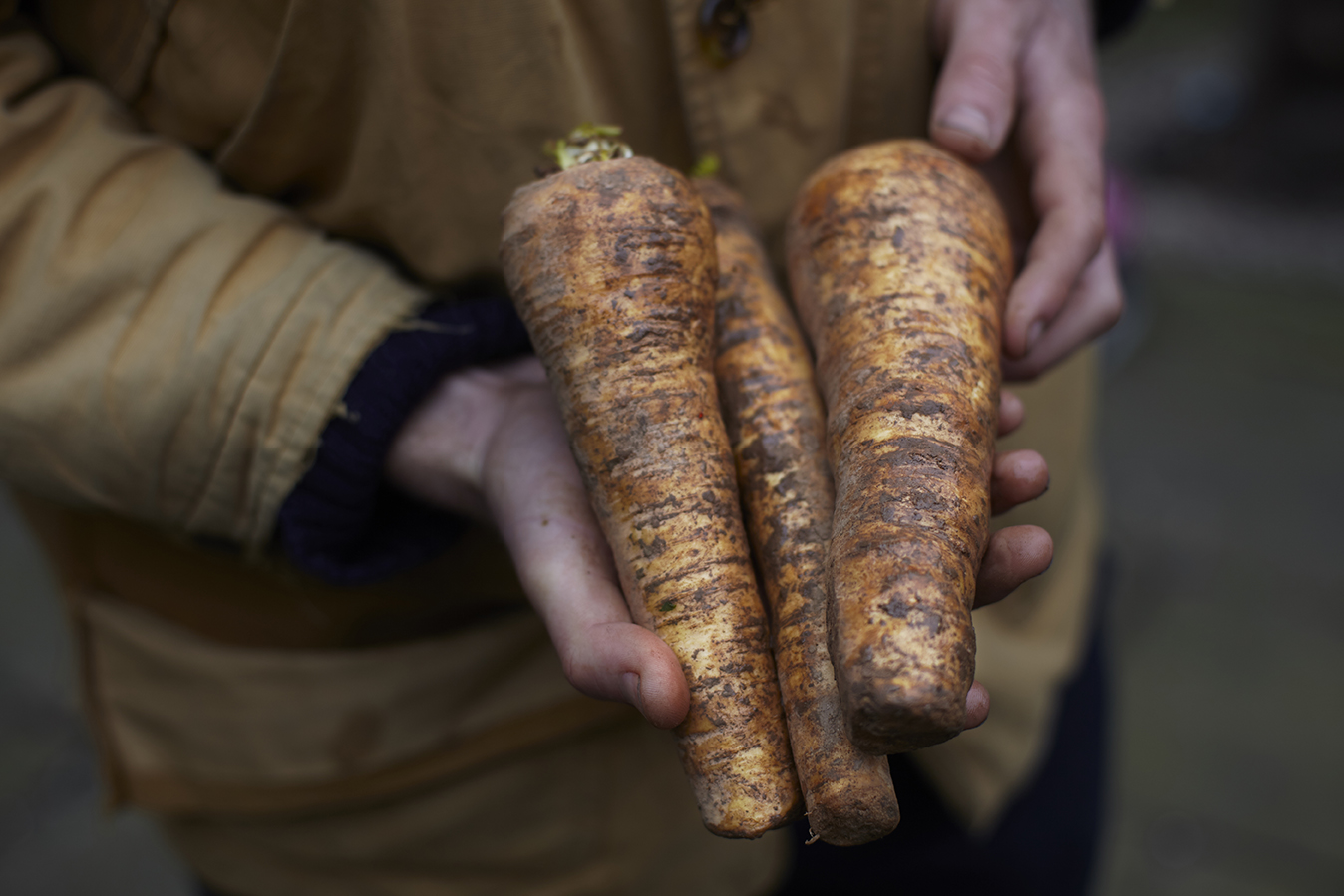 aburton_farmdrop_turnip.jpg