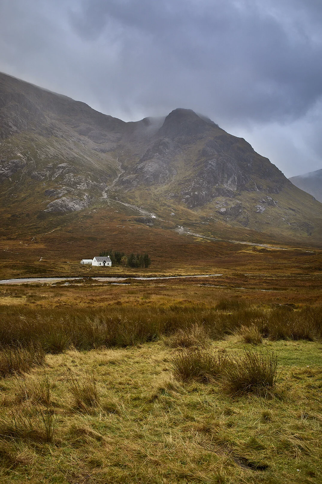 Scotland_batch_three256.jpg