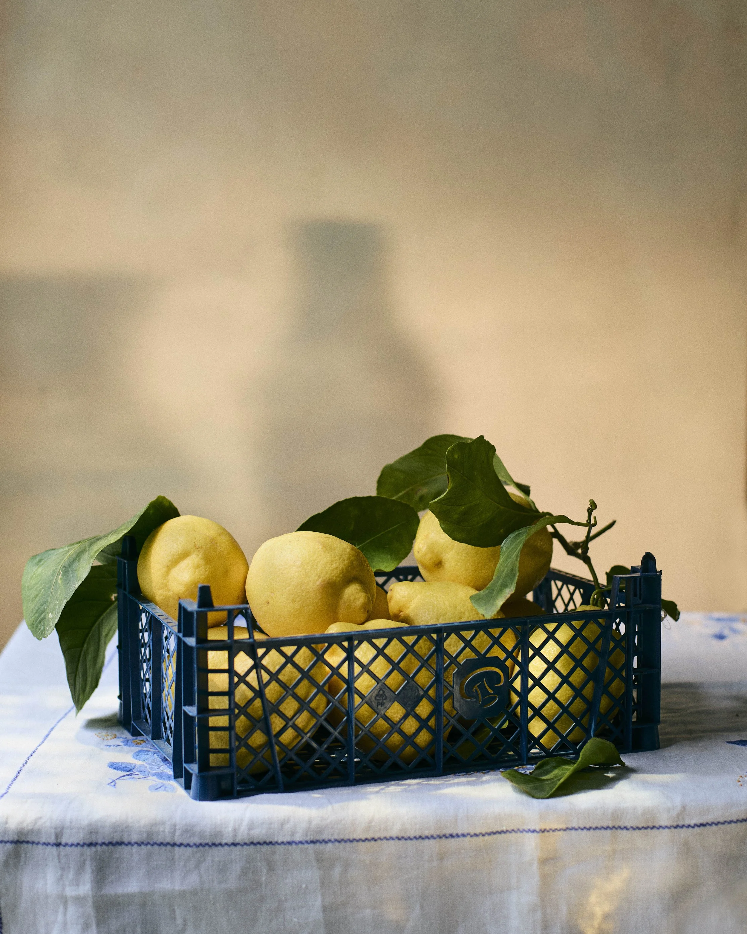 15.05.25_Eat_Like_a_Greek2404_Lemons_Incidental.jpg