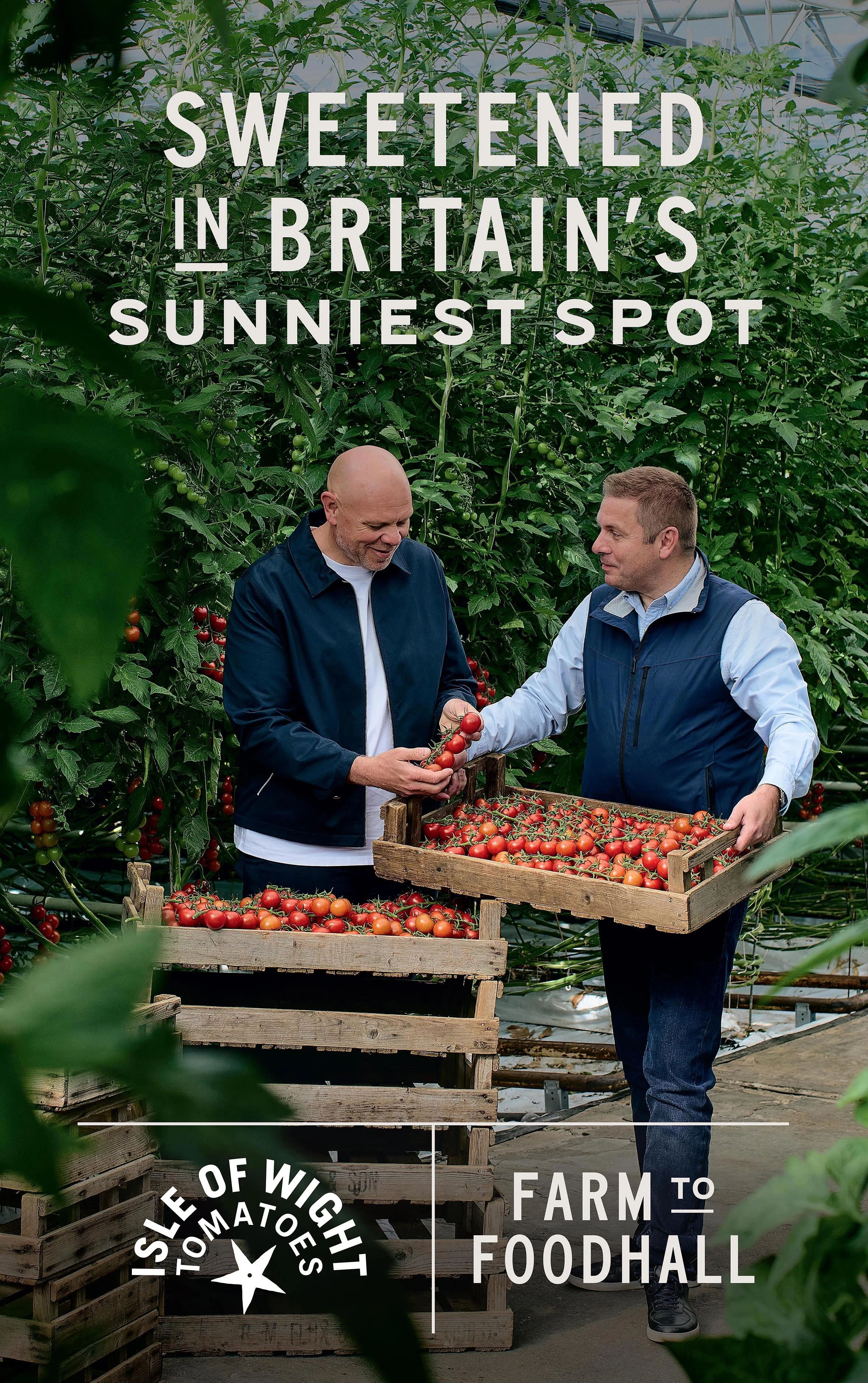 AndrewBurton_TK_IOW_TOMATOES.jpg