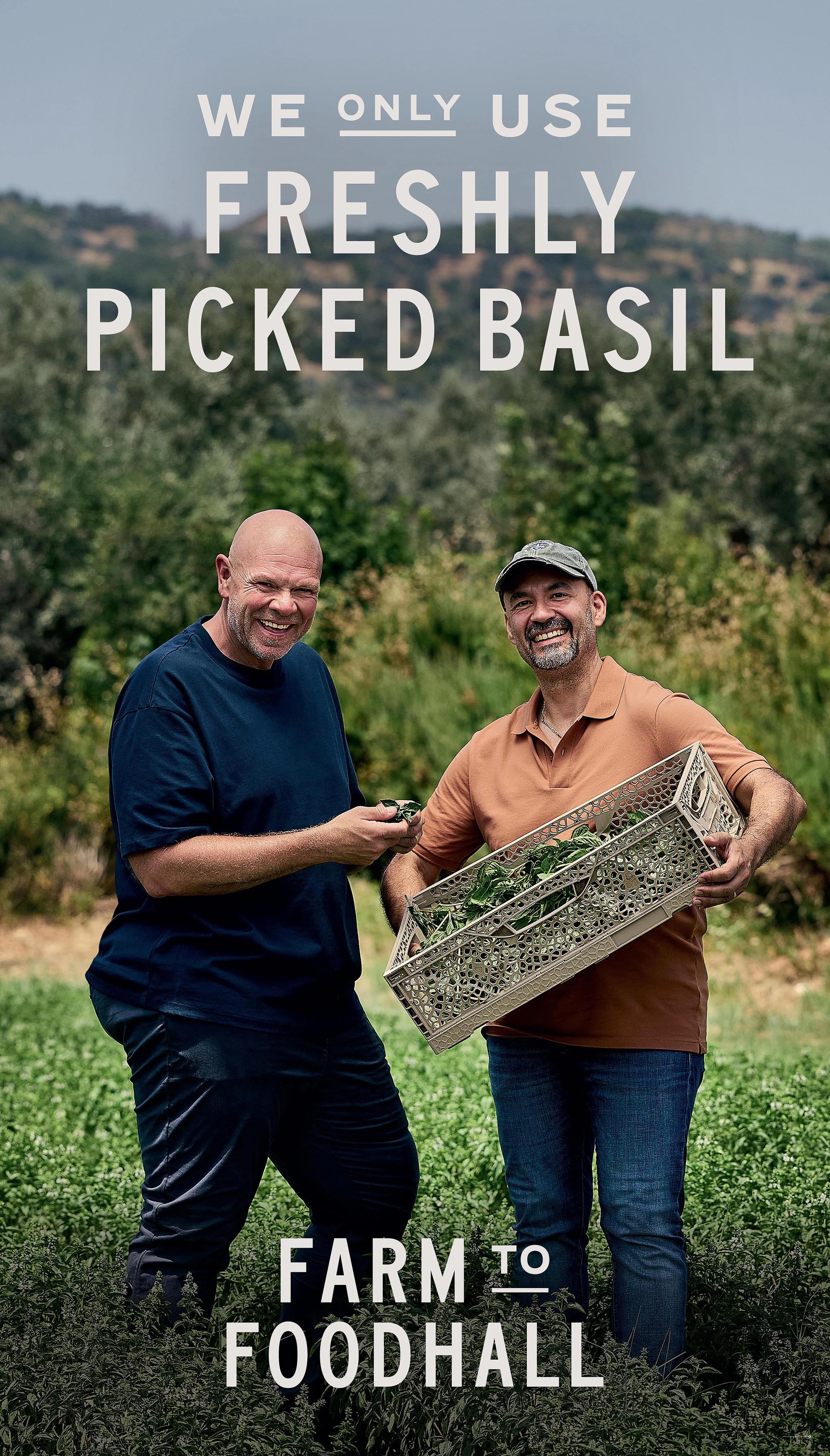 AndrewBurton_TK_BASIL_PASTA_SAUCE.jpg