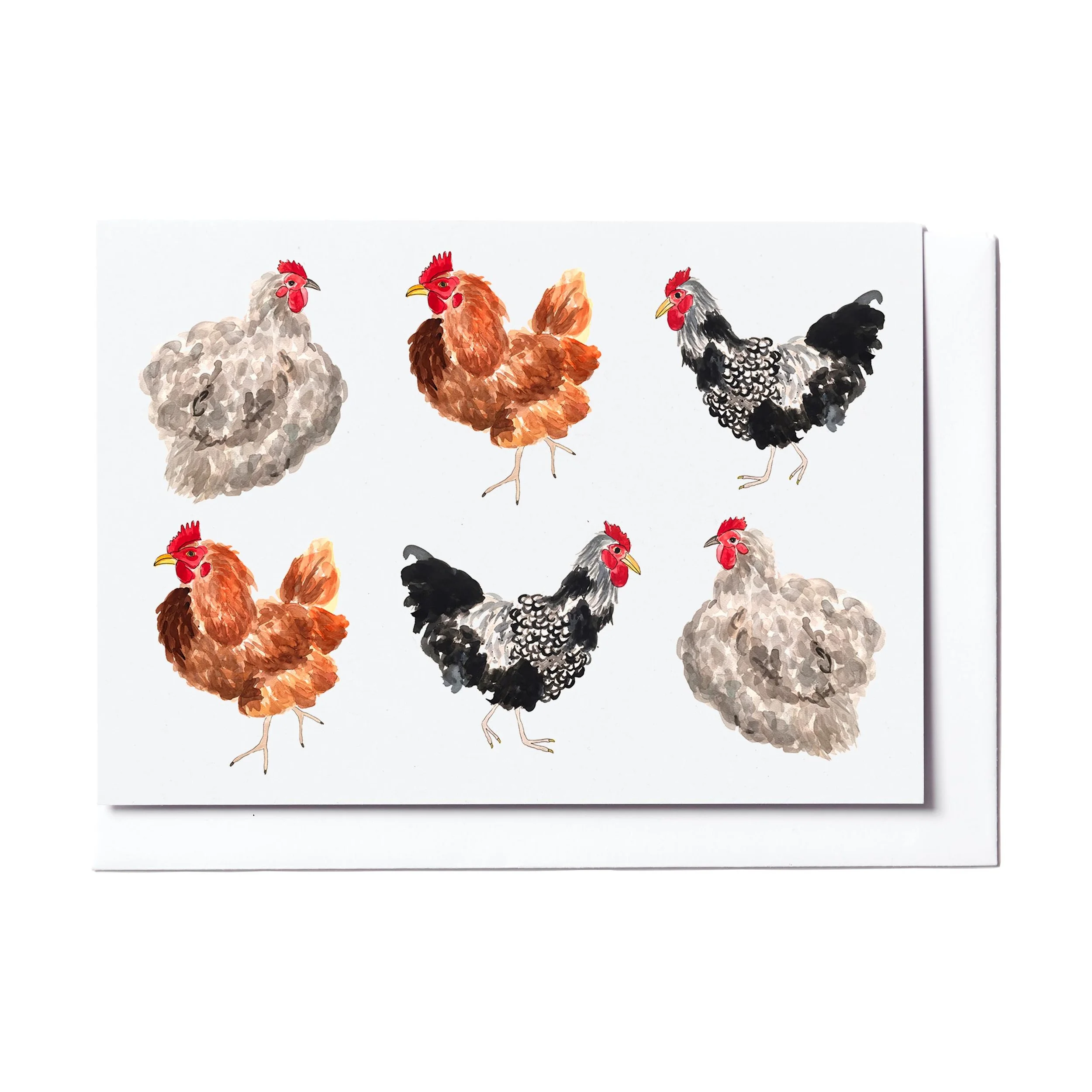 chooks horizontal card template.jpg