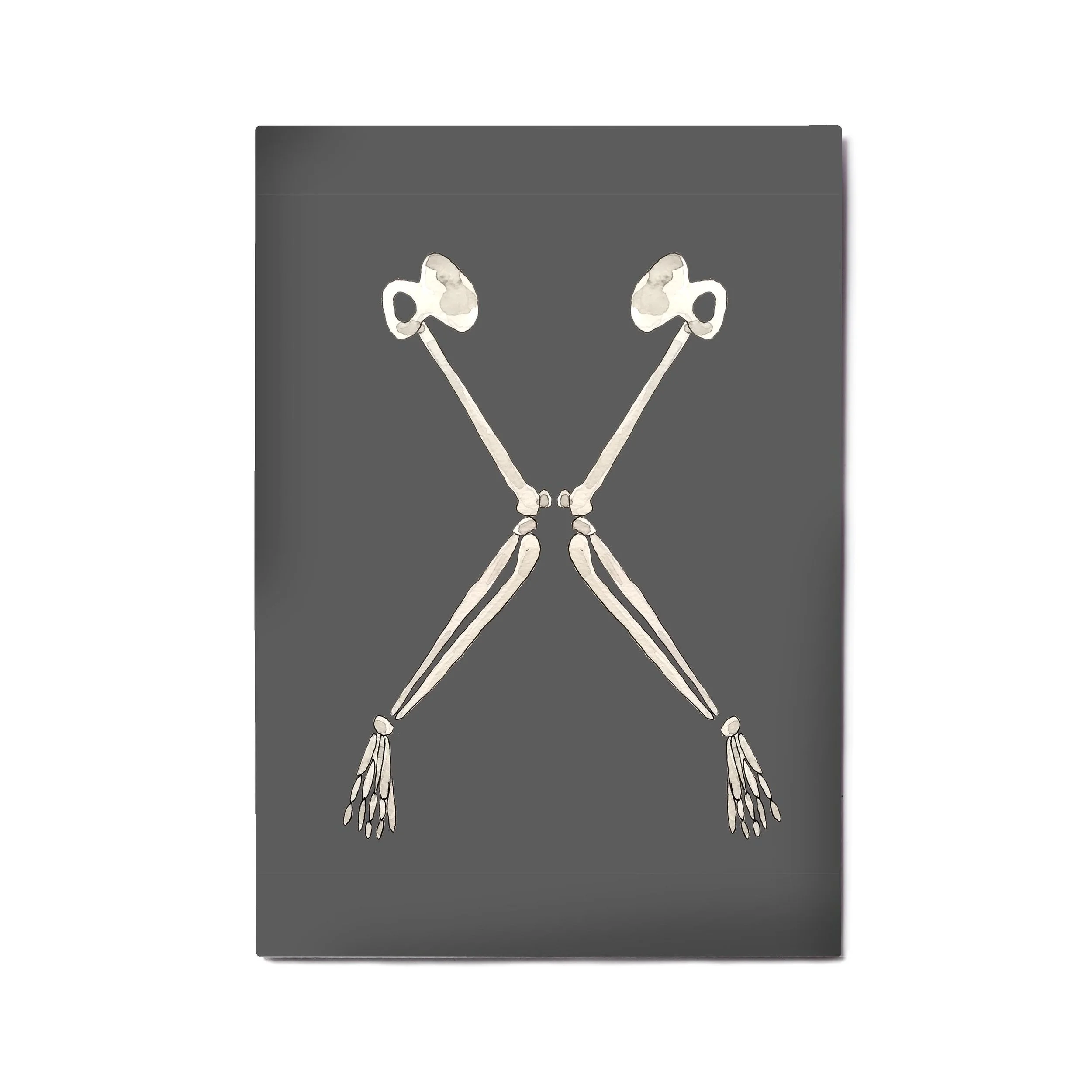 x alphabet template.jpg