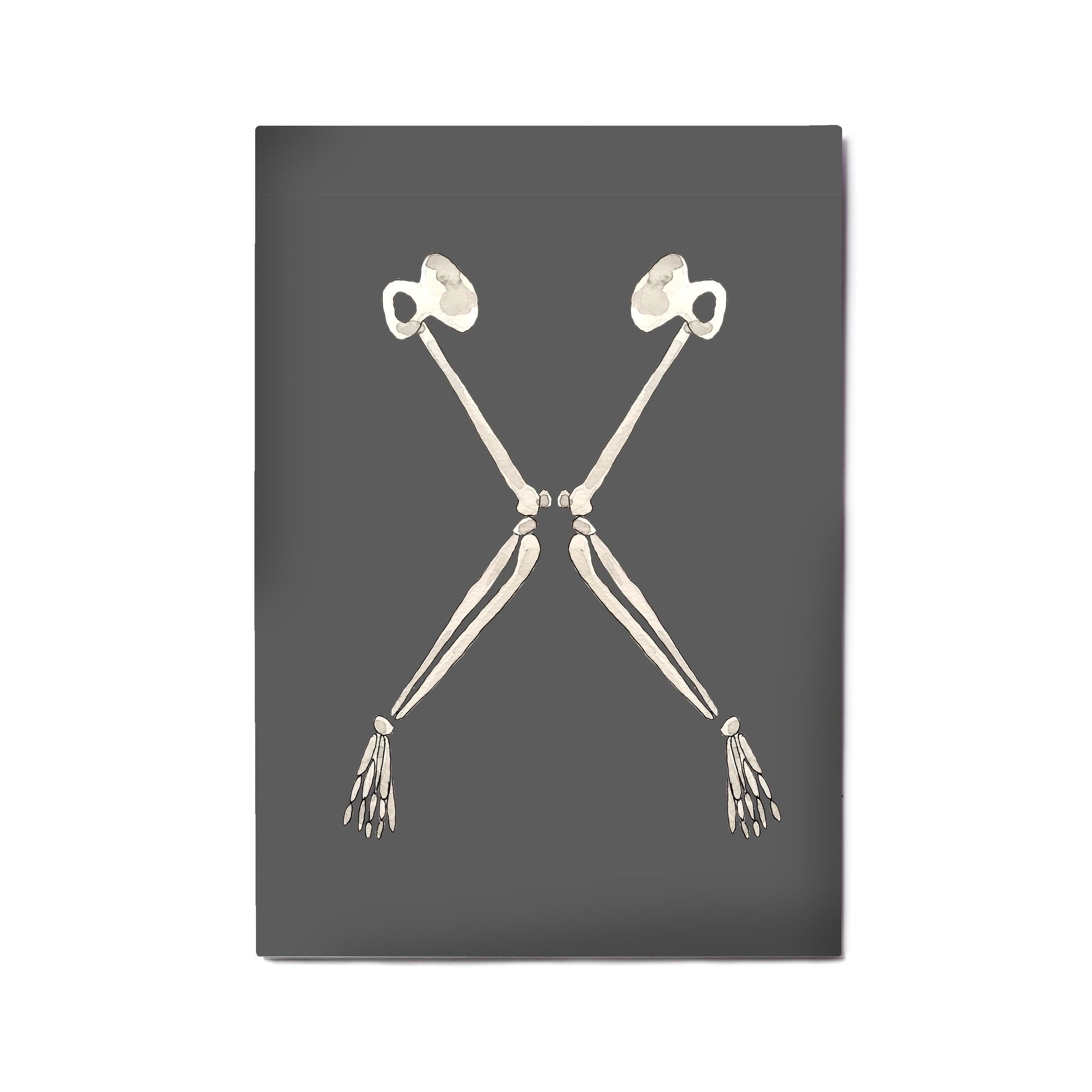 x alphabet template.jpg