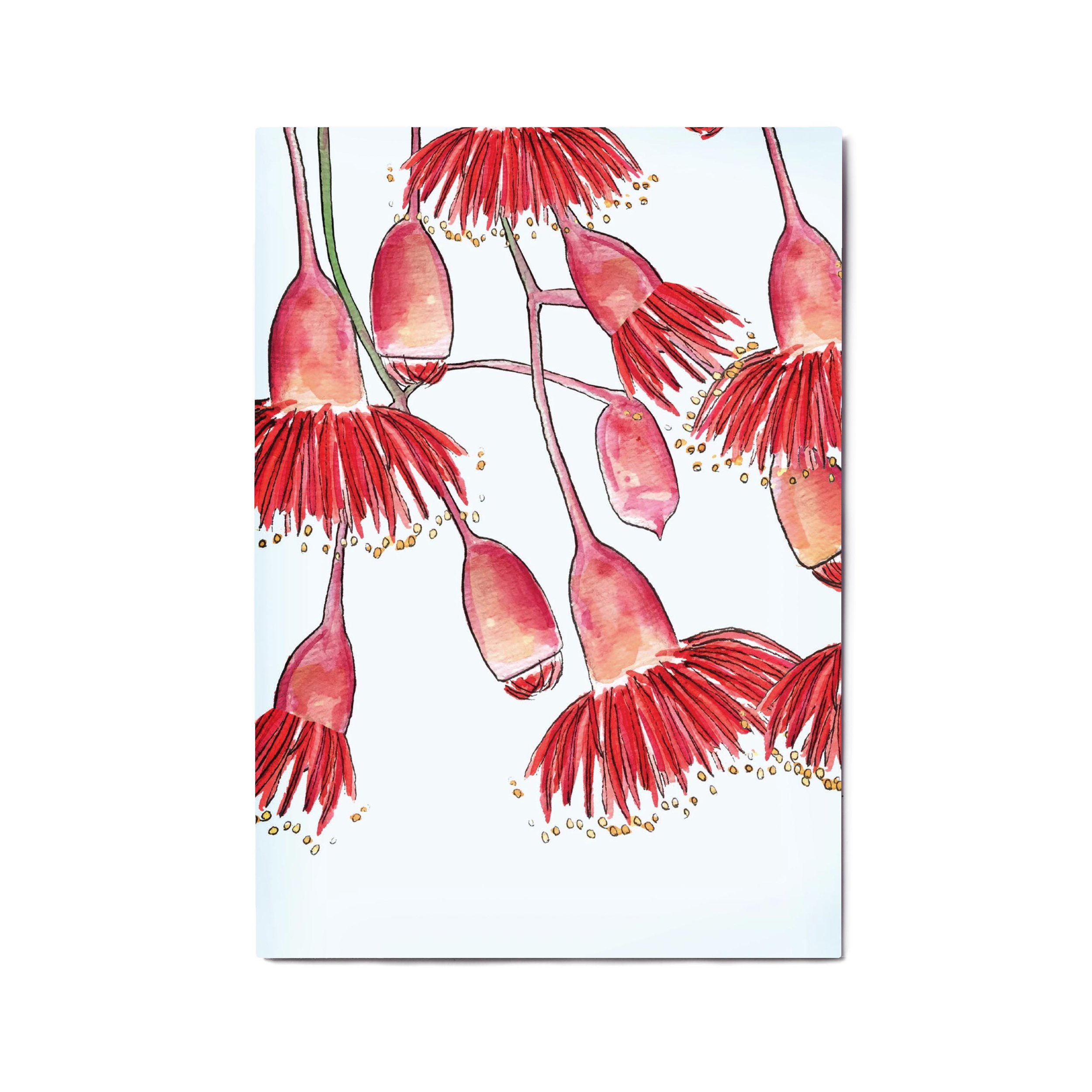 a4 a3 template flowering gum.jpg