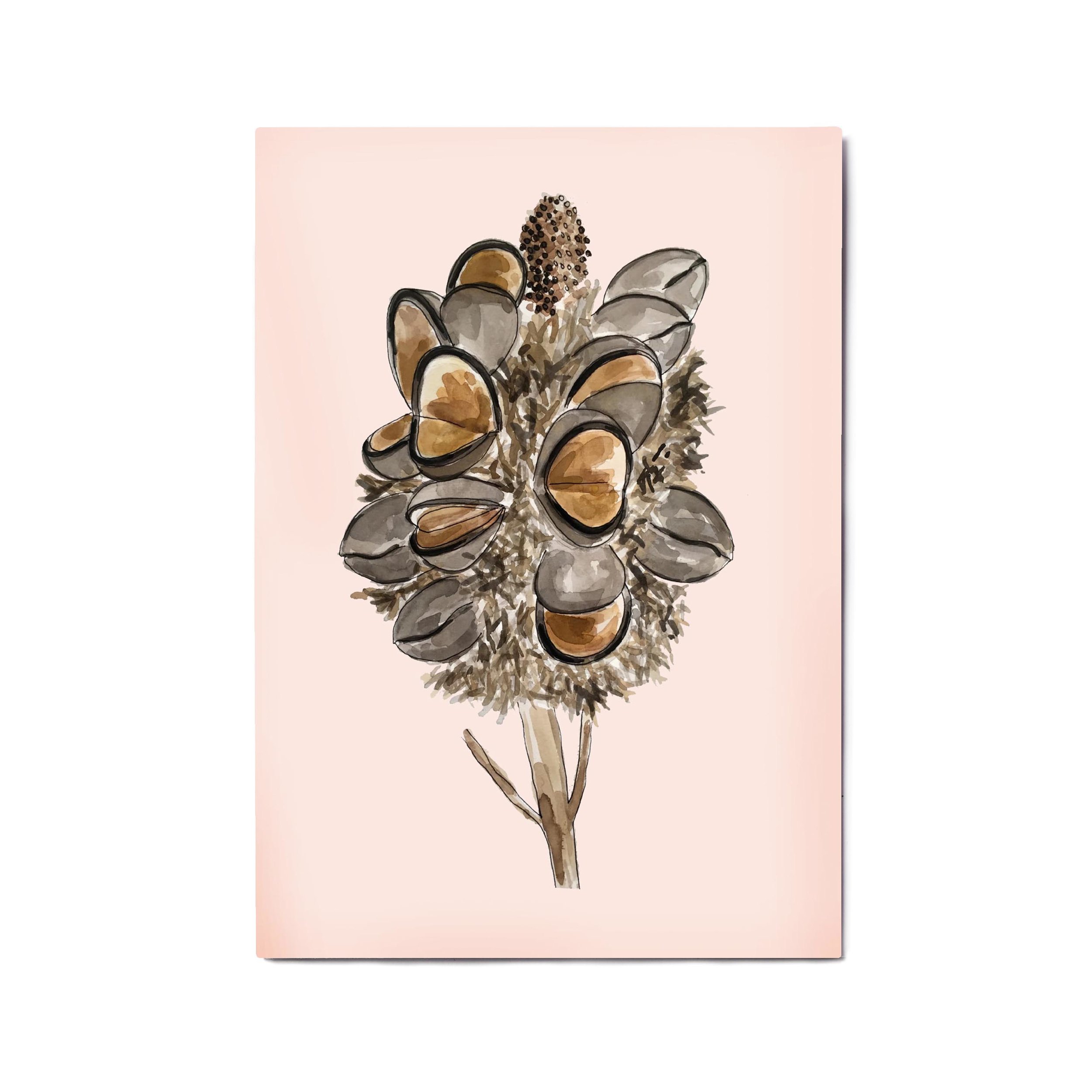 Banksia