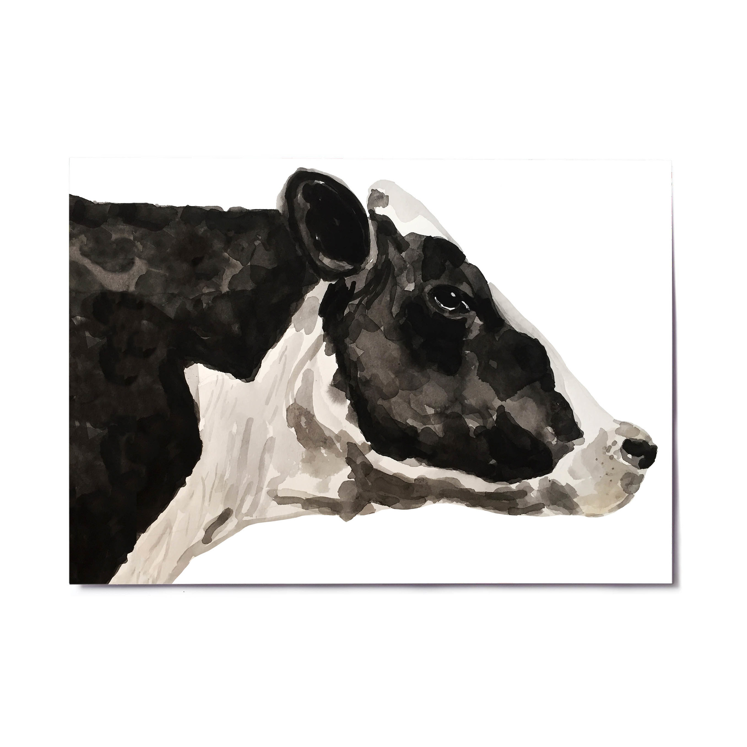 a4 a3 paper template horizontal cow.jpg