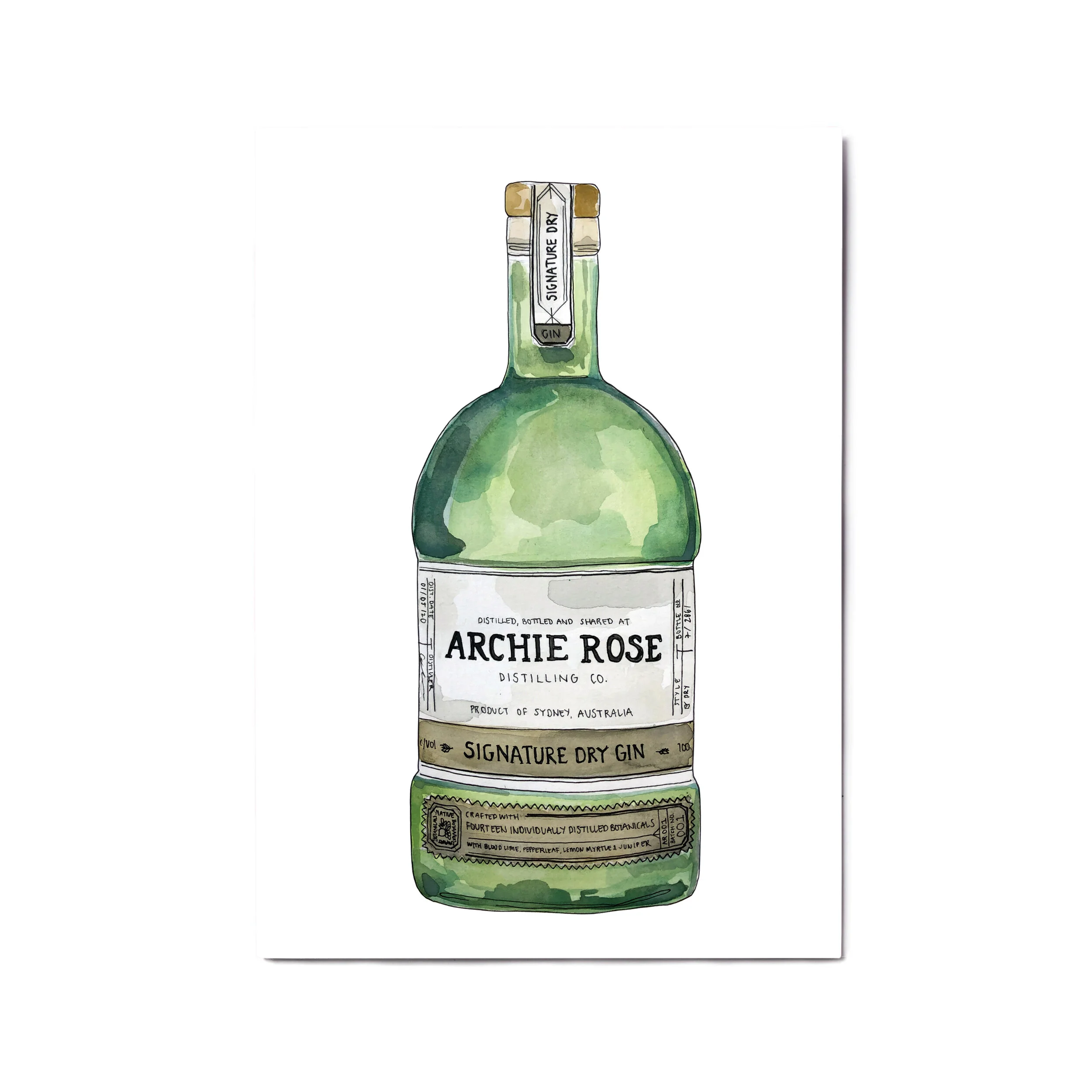 archie rose a4 a3 .jpg