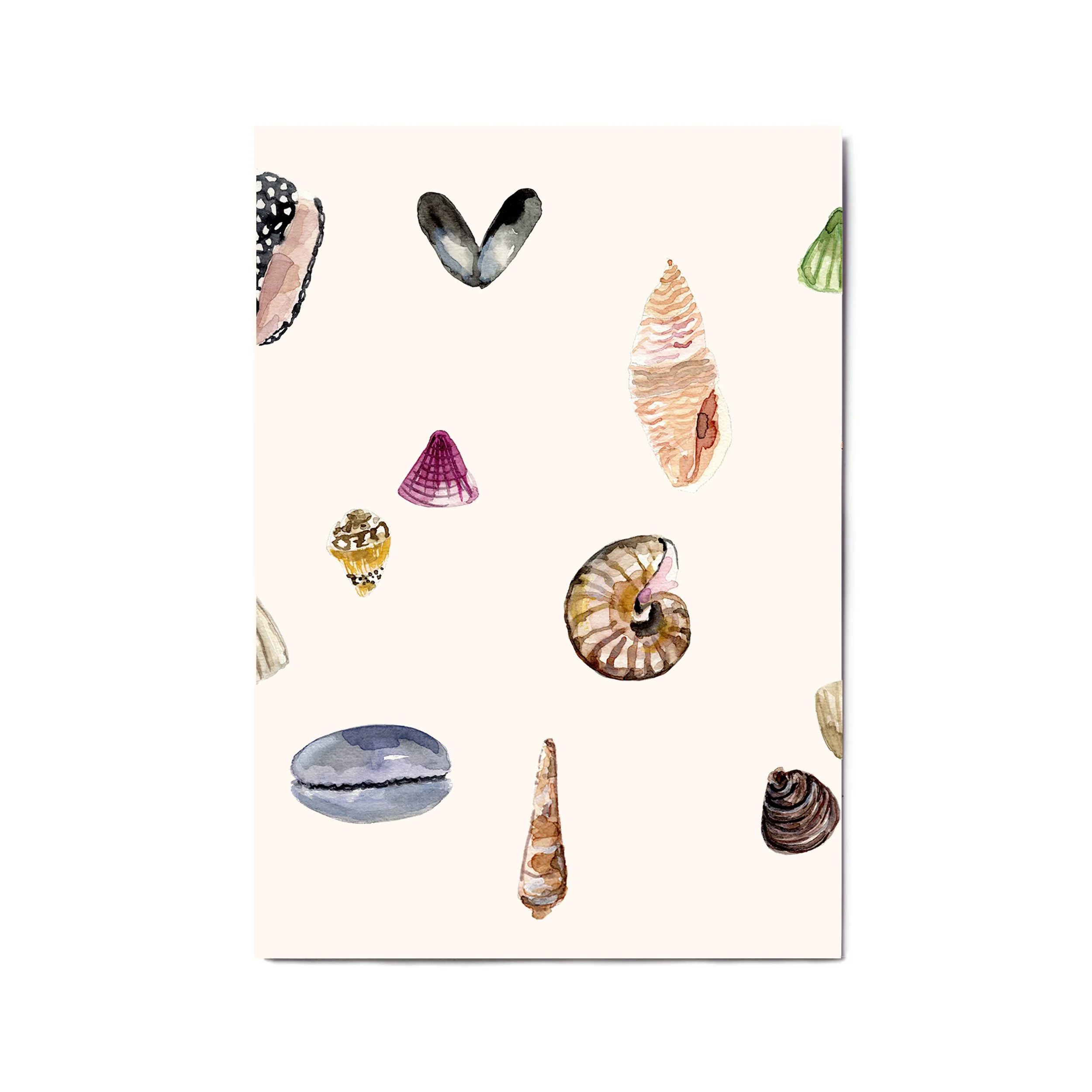 Shells Triptych Two