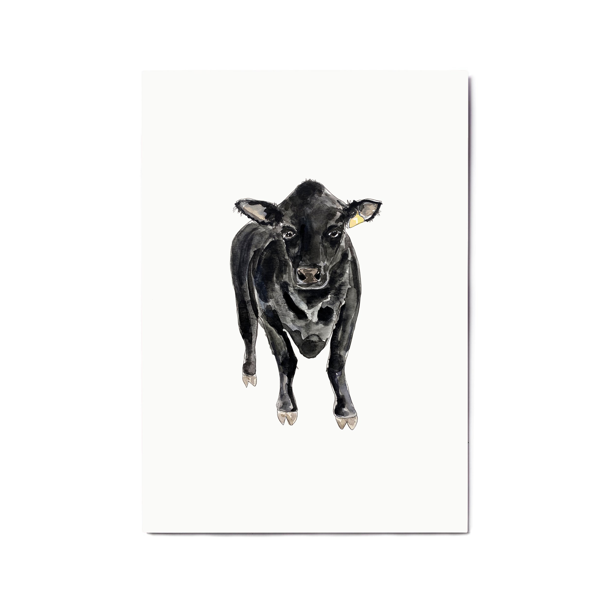 Black Angus