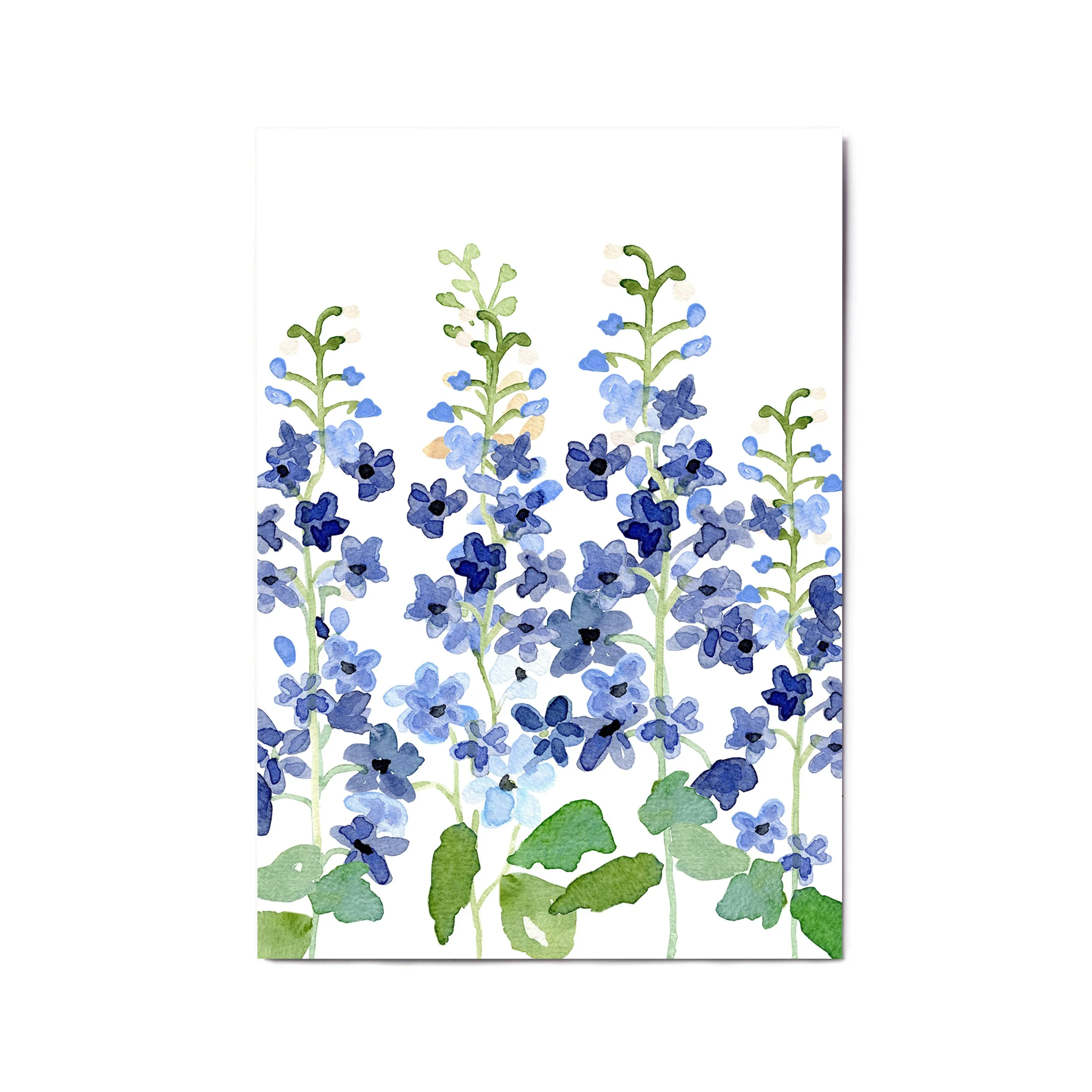 a4 a3 delphinium .jpg