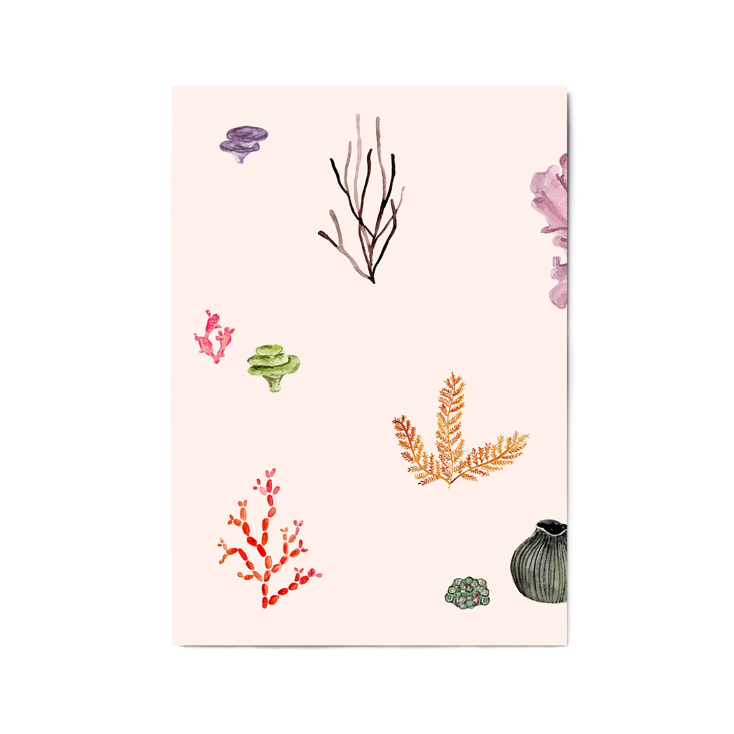 a4 a3 coral 1.jpg