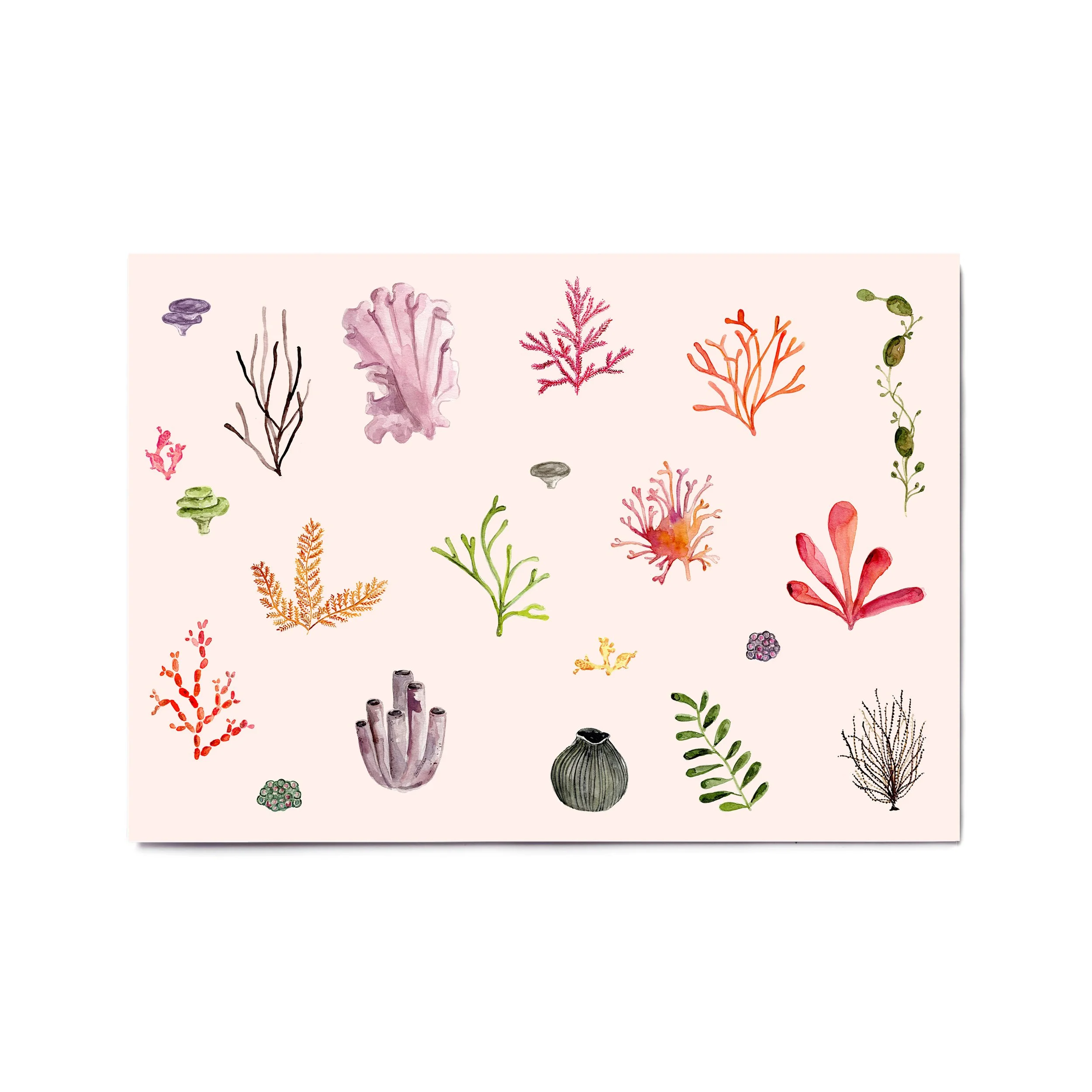 Coral
