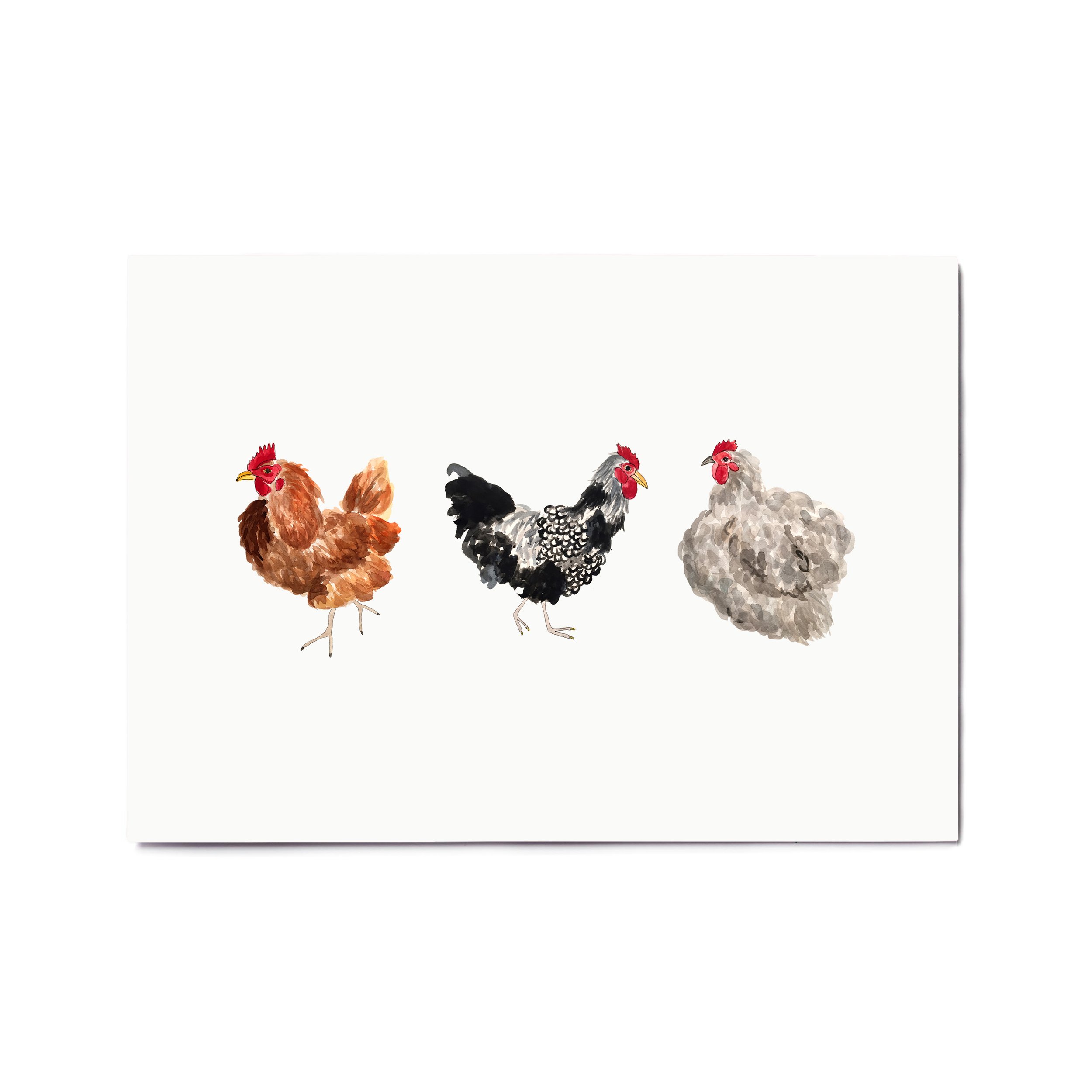 Chickens