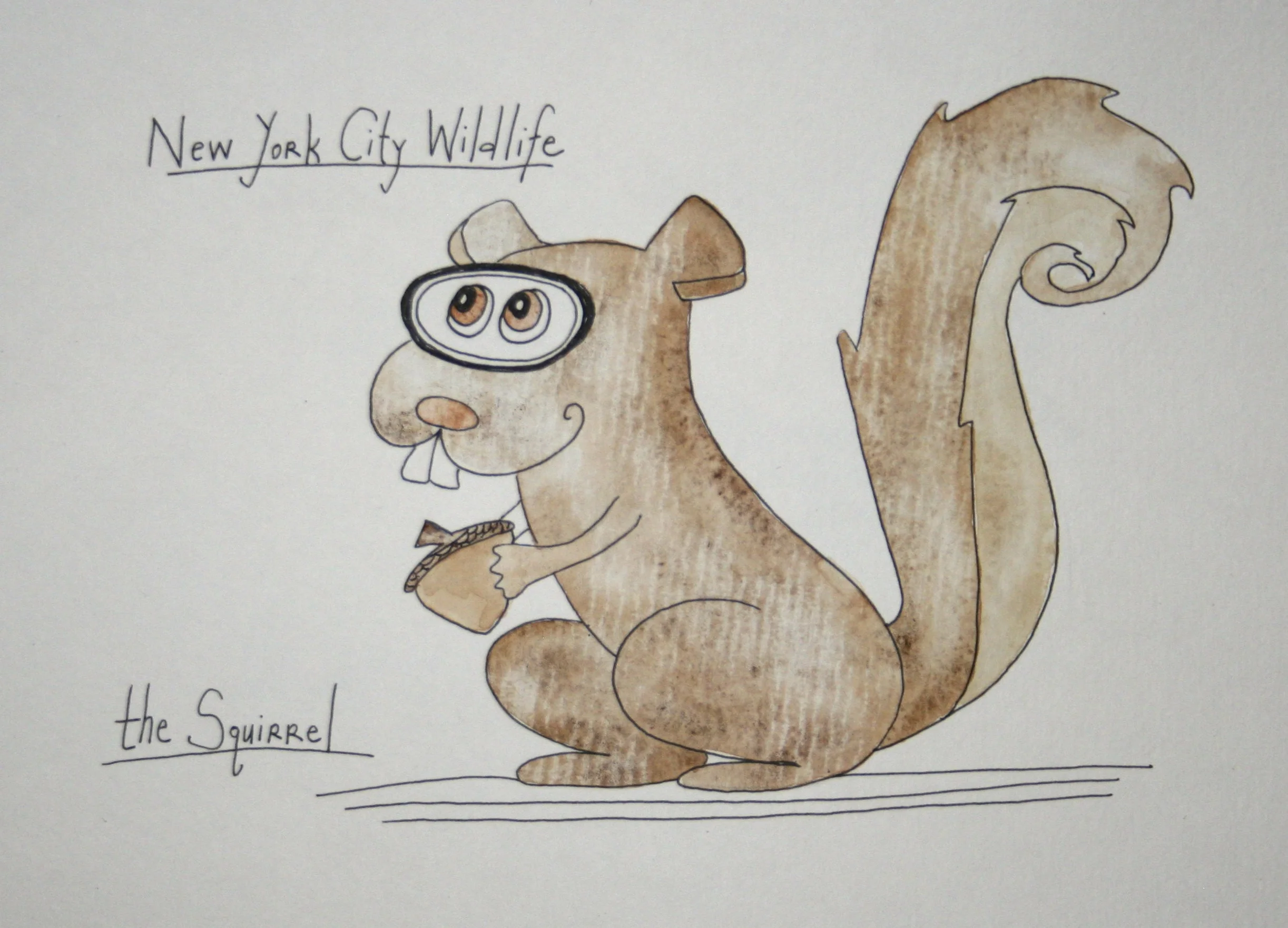 squirrel.jpg
