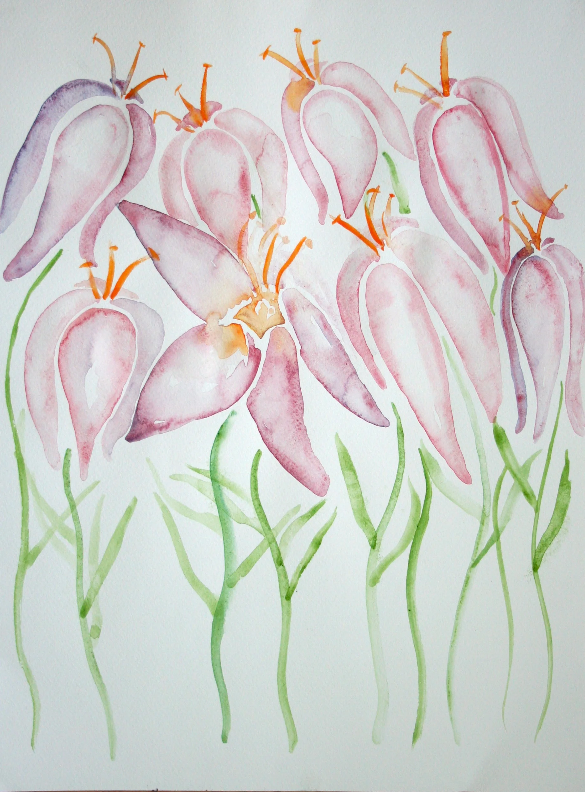 Lillies.jpg