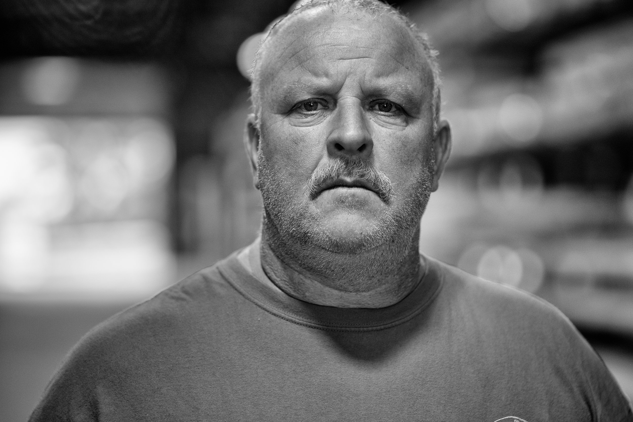 Phil, aka Looney Tunes. I am not sure I could ever get him to look this serious again.