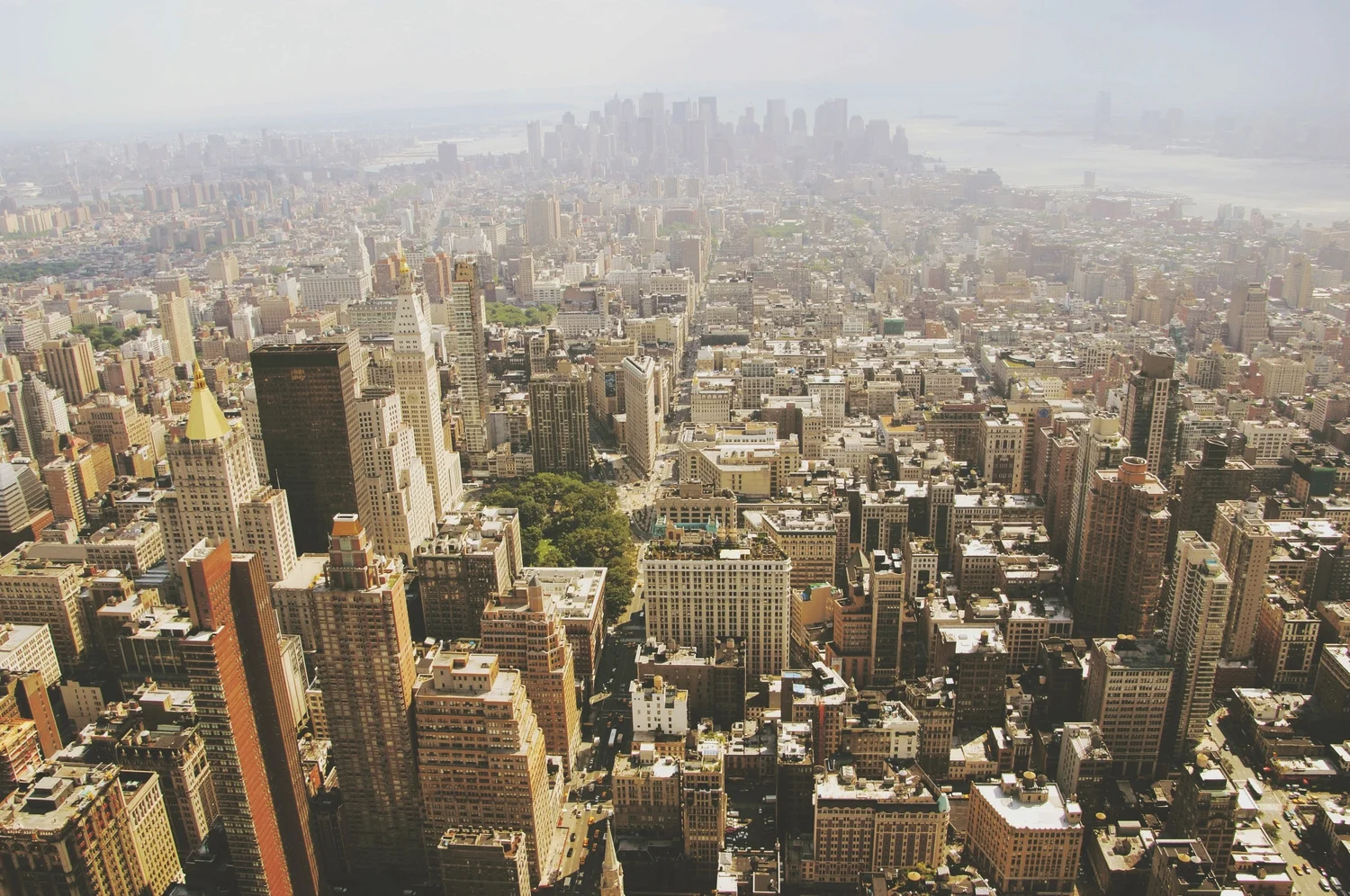 Diversifying Your Social Media Presence